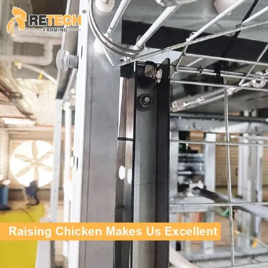 Chicken House Poultry Farm Chain type Harvesting Broiler Cage Poultry Equipment Poultry Cage - Image 1