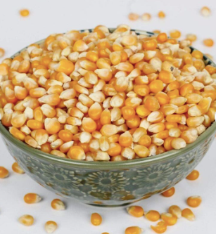 Maize.Yellow Corn/ white corn for human consumption non gmo yellow corn/ yellow corn for animal feed popcorn. Free shipping - Image 3
