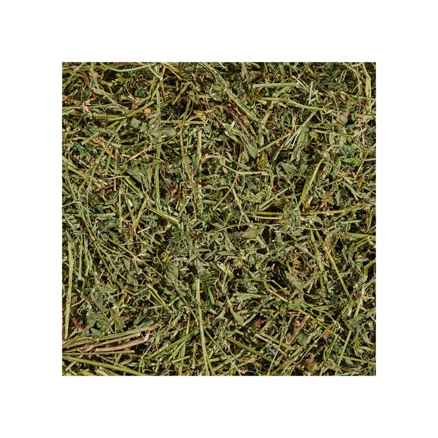 Wholesale Alfalfa Hay Feed at Unbeatable Prices Elevate Health with Premium Pakistani Alfalfa Hay Best Exporter - Image 4
