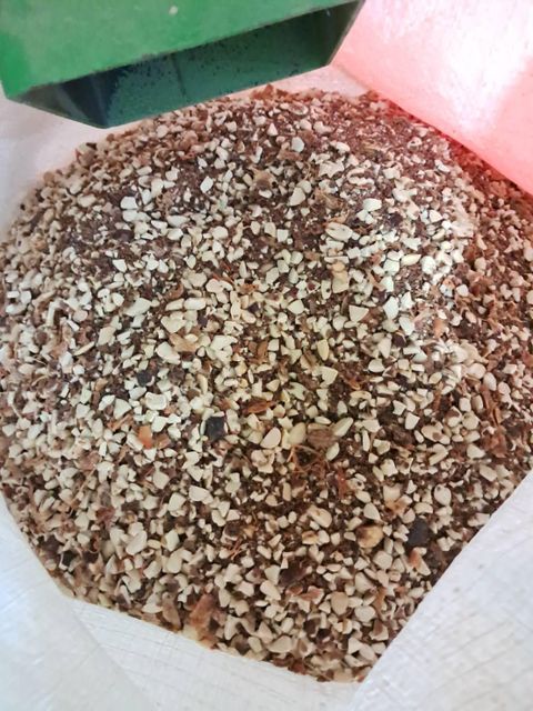 Tamarind Seed - Image 11