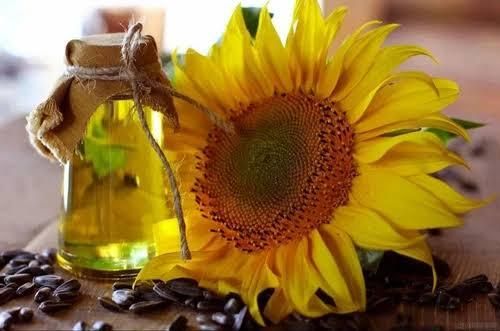 Refined Sunflower Oil - Image 2