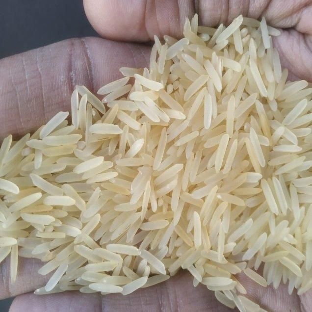 DELICIOUS MOROCCAN SOFT DESSERT REGULAR WHITE BASMATI RICE HIGH PRODUCTION | DR. VIKRANT TEWARI +91-9910199808 – product photo 4, product detail gallery