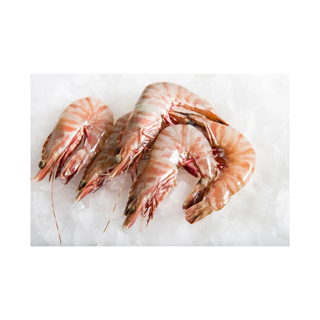 Wholesale giant tiger prawn bulk supply low price natural fresh prawns - Image 2