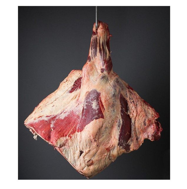 Frozen Beef Fresh Nature Frozen Beef Forequarter - Image 5
