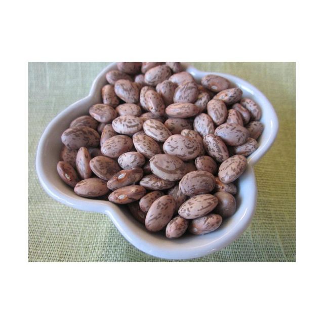 Premium Pinto Beans suitable for supermarkets and retail packaging – product photo 4, product detail gallery
