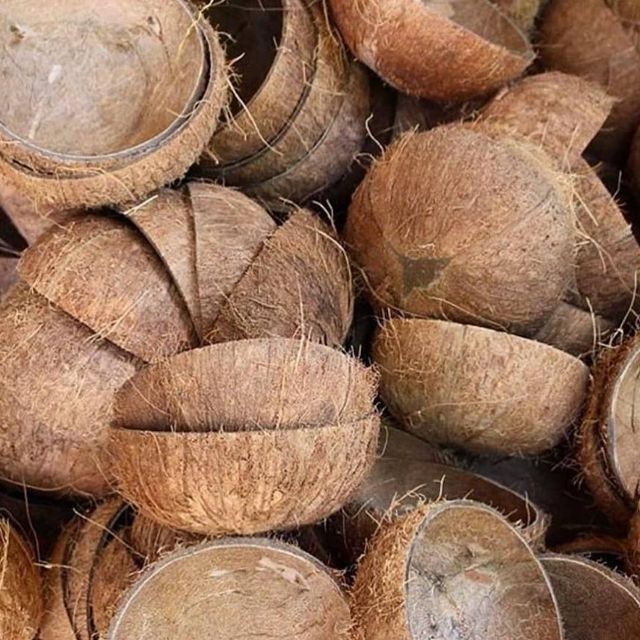 Coconut Shells for Charcoal Production Export Standard Stable Supply Natural Raw Material Agriculture Use - Image 3