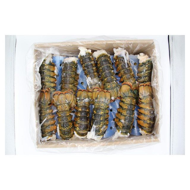 Wholesale frozen lobster tails presented with export grade handling - Image 4