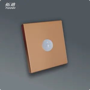 220V PIR Motion Sensor Wall Switch Lamps Home Decor Luxury Control LED Ceiling Fans Light Sensor Switch for Corridor Lighting - Image 5