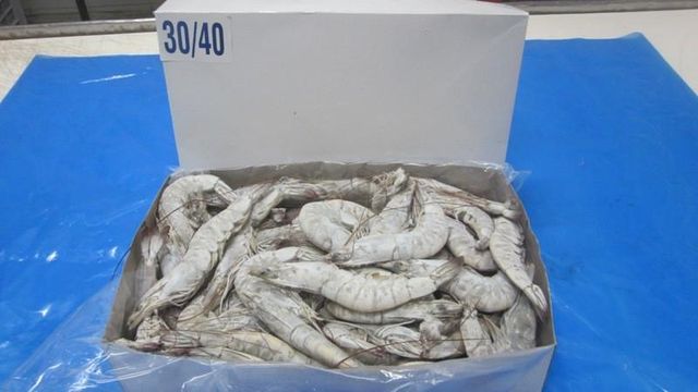 FROZEN RAW HEAD ON VANNAMEI WHITE SHRIMP Packaging 800G Shelf Life 2 YEARS Pricing Options Nwnc/ Nwfc/ Fwnc/ Fwfc Freezing Method Blast/ Block/ Semi Iqf/ Iqf - Image 3