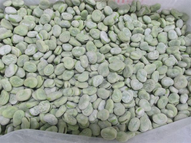 Frozen IQF BROAD BEAN Shape cube Content no Address no Type potato Style FROZEN Packaging Bulk Ingredients no Weight (kg) - Image 4