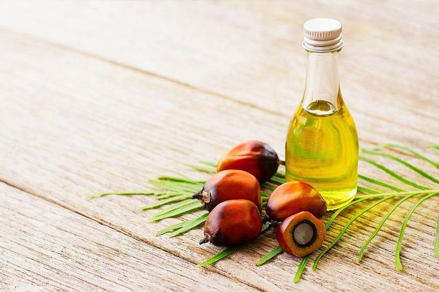 Cheapest Price Supplier Bulk RBD Palm Olein - Crude Palm Oil 100% Refined Oil With Fast Delivery - Image 4