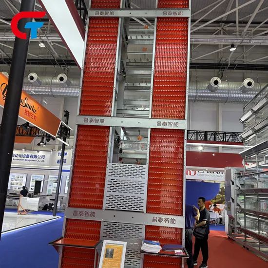 Hot Galvanizing Good Quality H Type Farming Poultry Battery Cage - Image 3