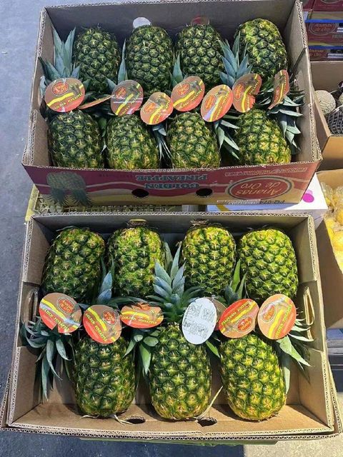 IQF Frozen Pineapple Coliform 10 Color Light Yellow E.coli Not Detected Shelf Life 24 Months Brix Level Minimum 10 Place of Origin Viet Nam - Image 5