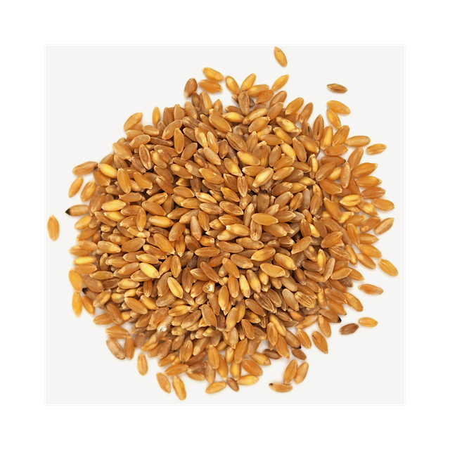 Wholesale wheat grains maintained for continuous trade and high quality resale - Image 5