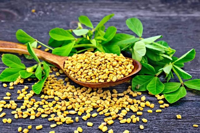 Fenugreek Seeds - Image 2