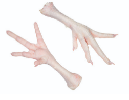 Best Quality Grade A Frozen Chicken Feet Cut feet Origin Brazil Meat Type Chicken Features GACC, SIF Texture Rich In Collagen - Image 3