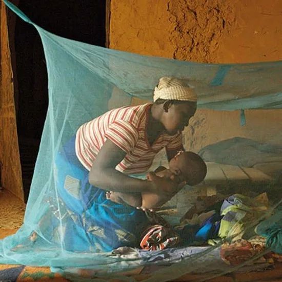Llin Long Lasting Insecticide Treated Bed Net Mosquito Net Anti Malaria - Image 3