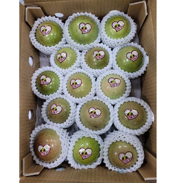 Bulk Selling 100% Natural Mature Organic Star Apple Fresh and COMMON Carton Box with 8 Days Shelf Life Fresh Fruit - Image 5