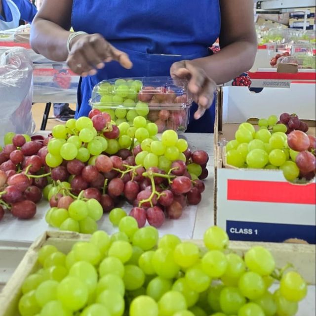 Quality Class 1 export quality Fresh Table Grapes - Image 4