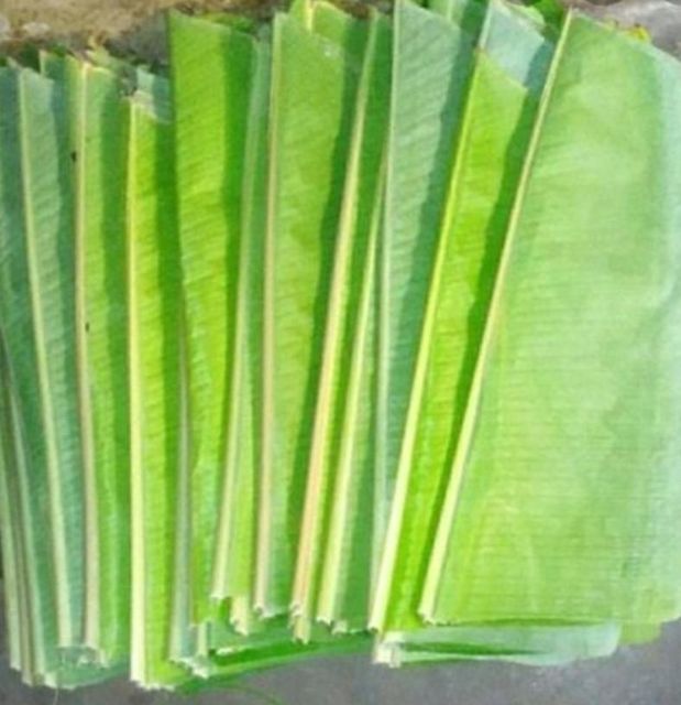 Banana Leaves - Image 2