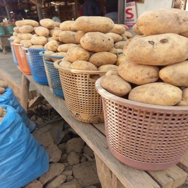 Wholesale Fresh Potatoes For Commercial Food Preparation With Firm Flesh Clean Appearance And Versatile Use - Image 4