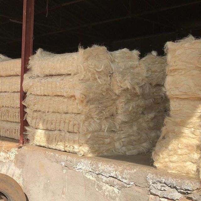 UG Grade sisal fiber Eco-Friendly Flame Retardant Sisal Hemp Fiber for Spinning Non-Woven Fabric Applications and Industry Use Sisal Hemp Fiber for Spinning Non-Woven Fabric - Image 3