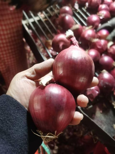 China High Quality Onion For Wholesale - Image 4