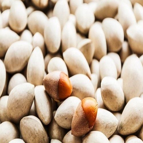 Fresh Ginkgo Nuts Nutrient Rich Whole Nuts Cheap Affordable Wholesale Bulk Packs - Image 4