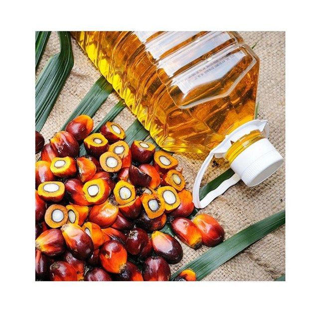 Global palm oil wholesale distributor offering premium refined palm oil for cooking frying and food production industries with private label packaging and container shipping worldwide. - Image 3