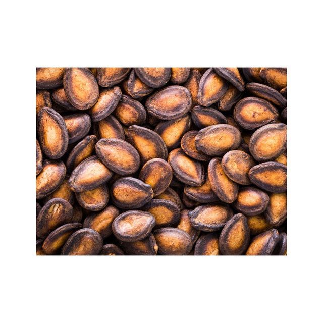 Premium quality watermelon seeds supplied in large quantities for trade - Image 2