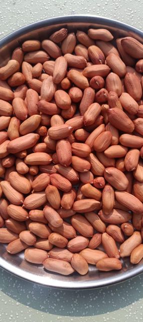 Blanched Peanuts Variety Bold / Tj / Java Form Blanched / Raw & - Image 1