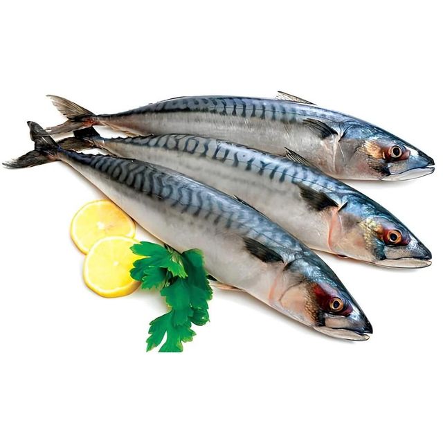 Frozen Mackerel Fish Premium Seafood Resource With Natural Omega 3 Content And Hygienic Frozen Handling Standards - Image 3
