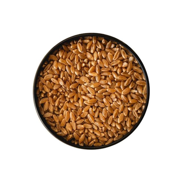 Wholesale durum wheat maintained for steady trade and resale operations - Image 4