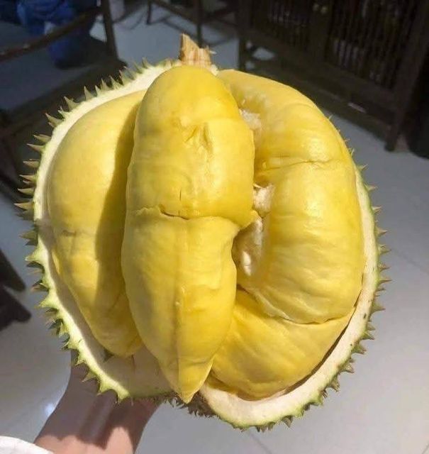 Durian Frozen Meat Frozen Grade A & B - Image 5