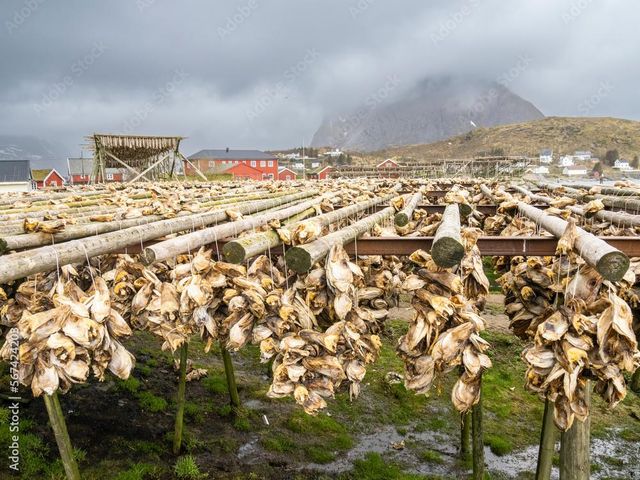 Dry Stock Fish - Image 1