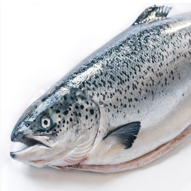 Premium Wholesale Organic Vacuum Packed High Quality Seafood pink Salmon Frozen Fish Whole Gutted Headless - Image 1