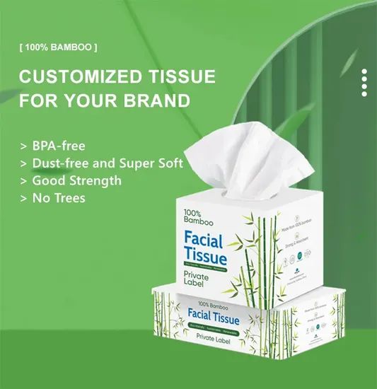 Wholesale 3ply Box Biodegradable Facial Tissues MOQ 1*40hq Trademark OEM Layer 2/3/4 Ply Origin Shangdong Price Best - Image 3