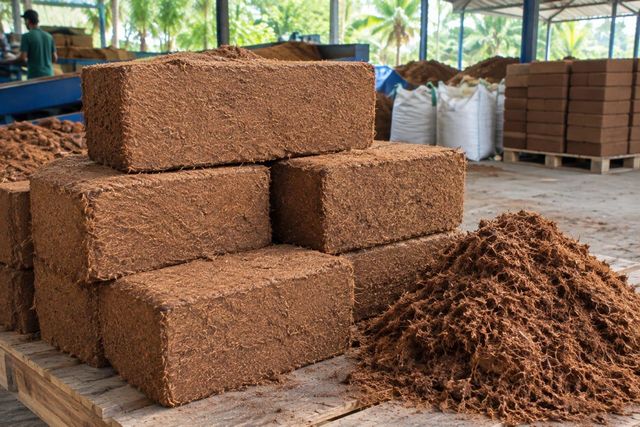 Coco peat/ coco pith blocks and agriculture products – product photo 4, product detail gallery