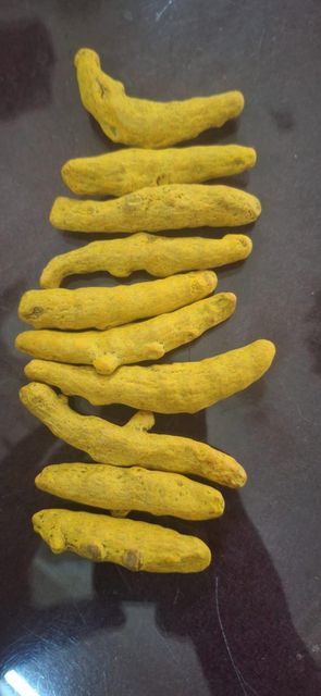 Turmeric finger - Image 3