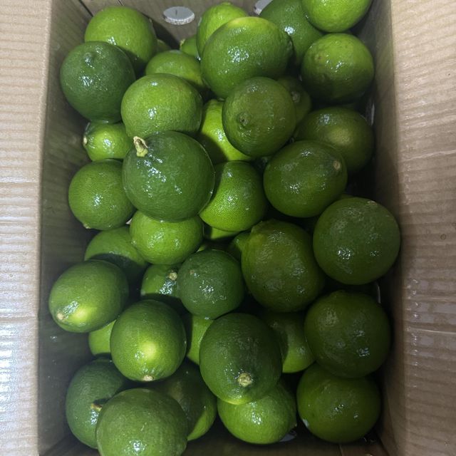 Premium Fresh Seedless Lime from South Africa Organic Yes Origin South Africa Texture Fresh And Firm Color Vibrant Green Skin - Image 2
