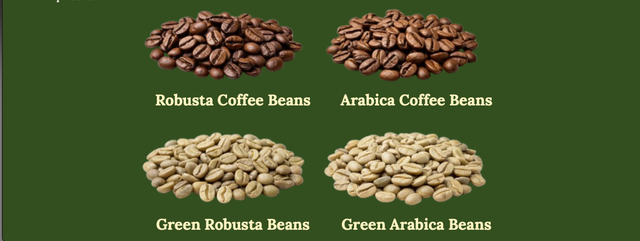Coffee beans arabica/robusta , Green arabica/robusta beans - Image 1