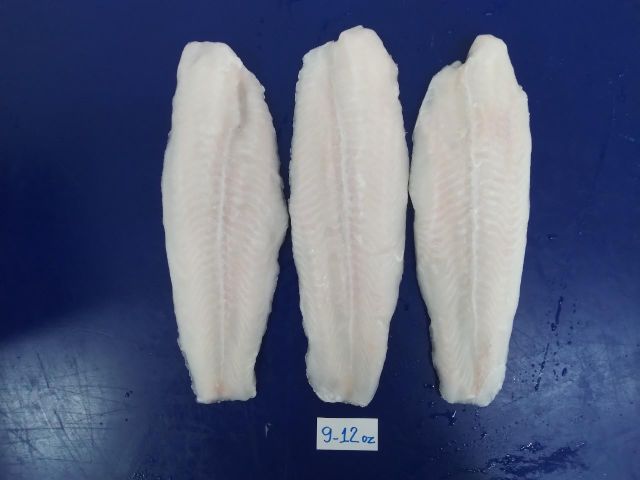 Frozen Pangasius Fillet 220-400 Size 9-12oz Net Weight - Image 1