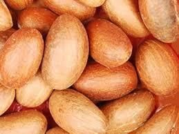 Affordable bitter kola for export and large quantity buyers Grade A Form Solid Style Fresh Shape Round Packaging bulk Content - Image 2