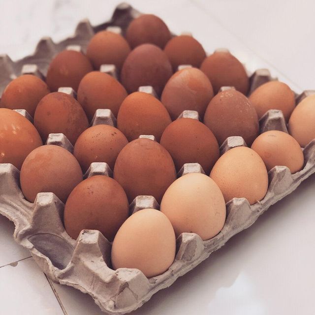 Wholesale Price Chicken Table Eggs Brown and White Suppliers in Europe / Best Quality Organic Fresh Chicken Table Eggs - Image 2