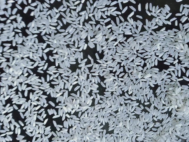 Pakistan Long Grain White Rice 5% broken Max Packaging 50KG PP Whiteness 42 Kett Min Foreign Matter 0.3% Max Foreign Grains 0.5% Max - Image 4