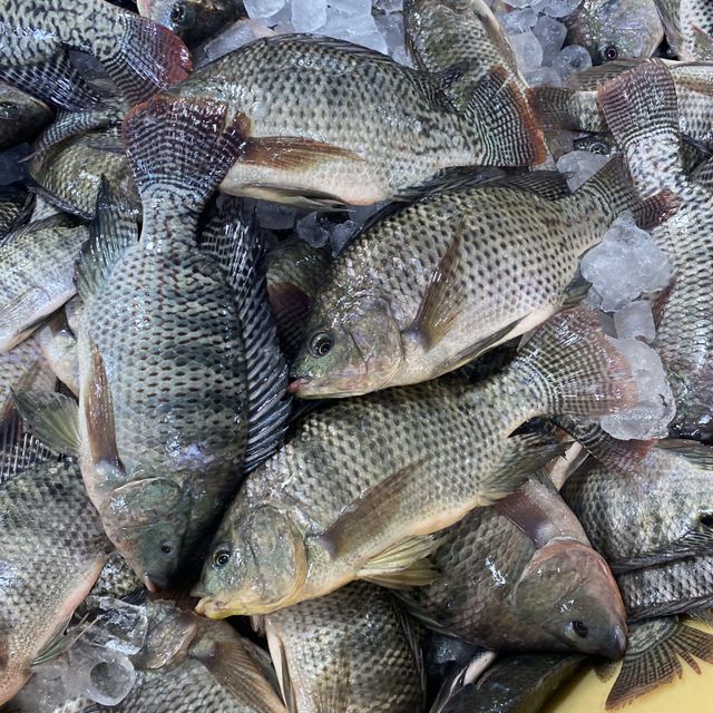 High quality Fresh Frozen Tilapia Fish / Frozen Whole Round Tilapia Fish / Tilapia Fillet Black Meat - Image 5
