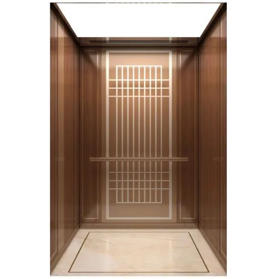 Vvvf Customized High Quality Passenger Lift Elevator - Image 3