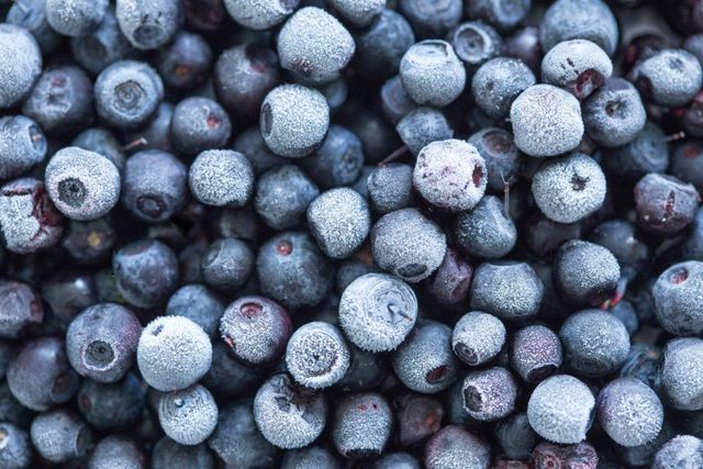 Frozen Blueberry Whole IQF - Image 1