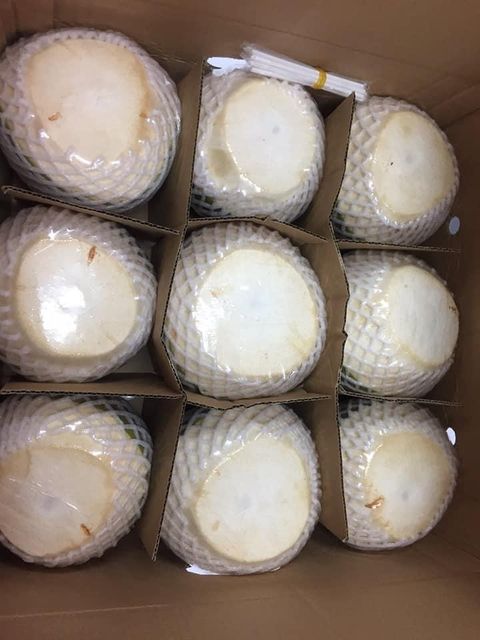 Diamond Shape Coconut Fragrant Fresh Coconuts High Grade Young Coconut- Whatsapp 0084989322607 - Image 3