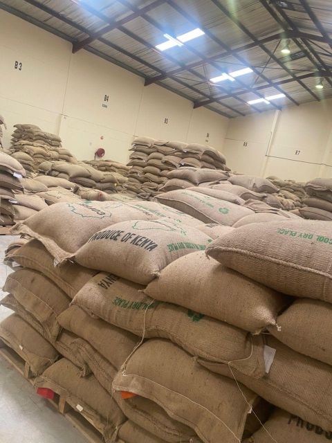 Green coffee Beans Bean Type Robusta - Image 4